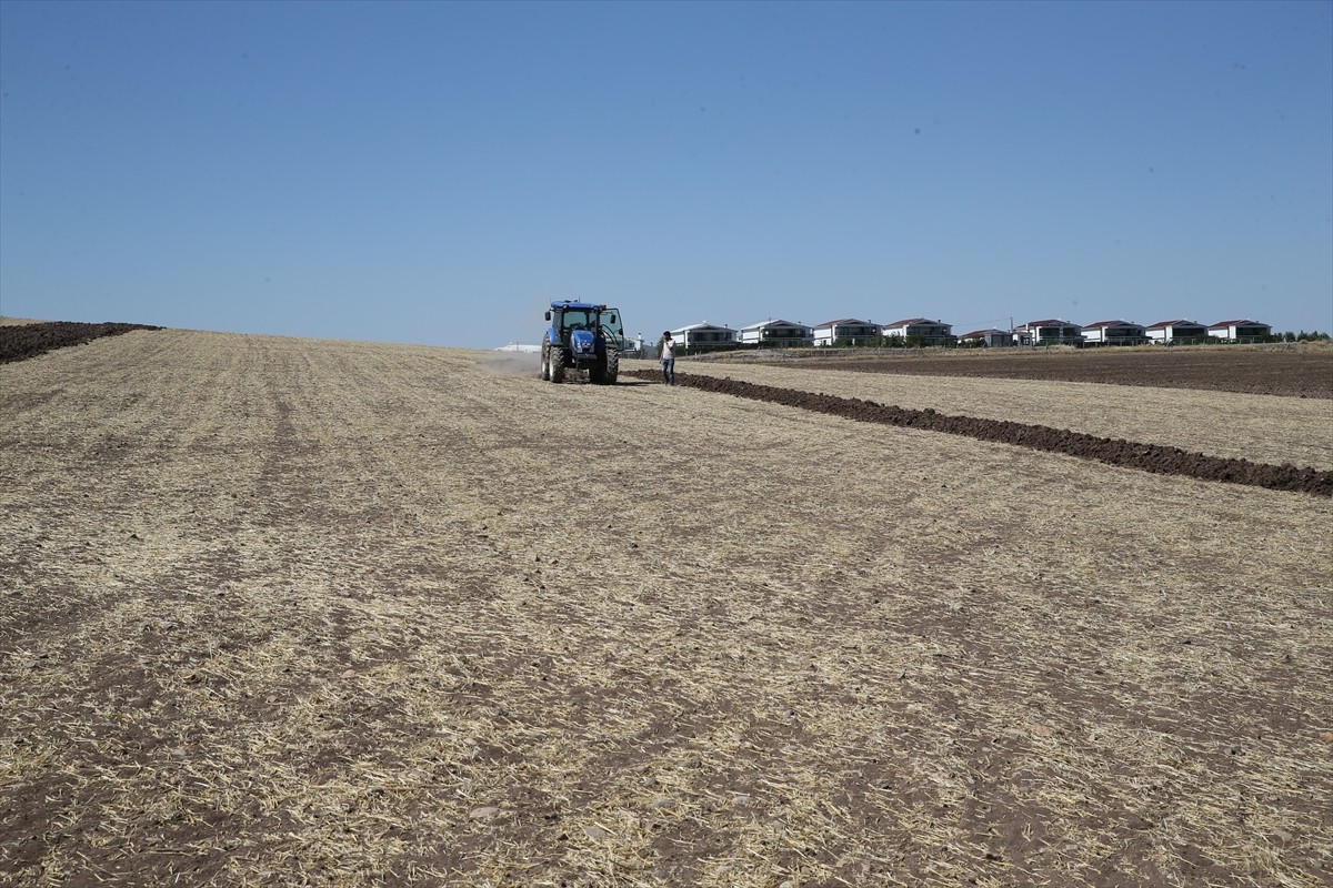 GAP Uluslararası Tarımsal Araştırma ve Eğitim Merkezince (GAPUTAEM) Diyarbakır'da hayata geçirilen...