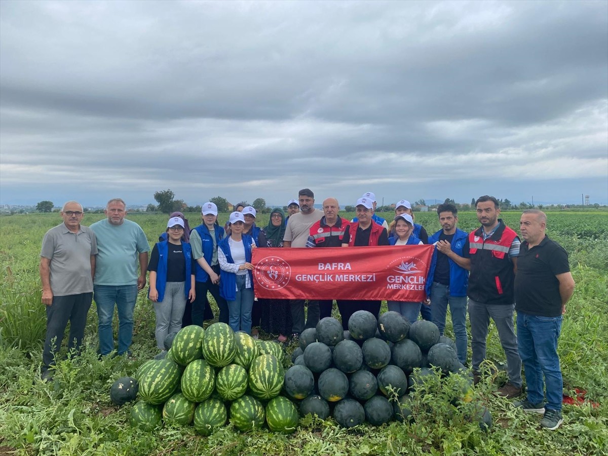 Gençlik ve Spor Bakanlığı tarafından başlatılan "Gönüllü Hasat Etkinliği" kapsamında, Samsun'un...