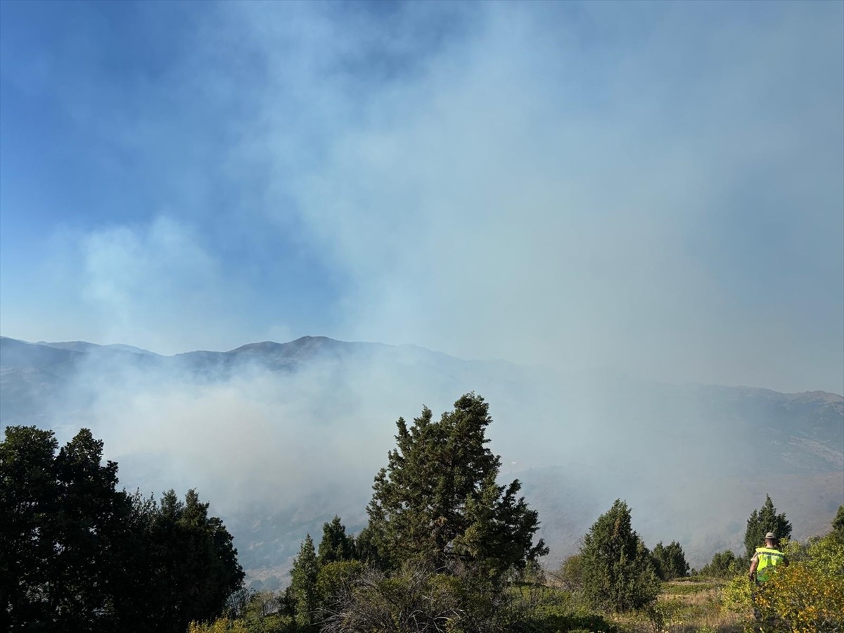  Gümüşhane'nin Kelkit ilçesinde çıkan orman yangınına müdahale ediliyor.