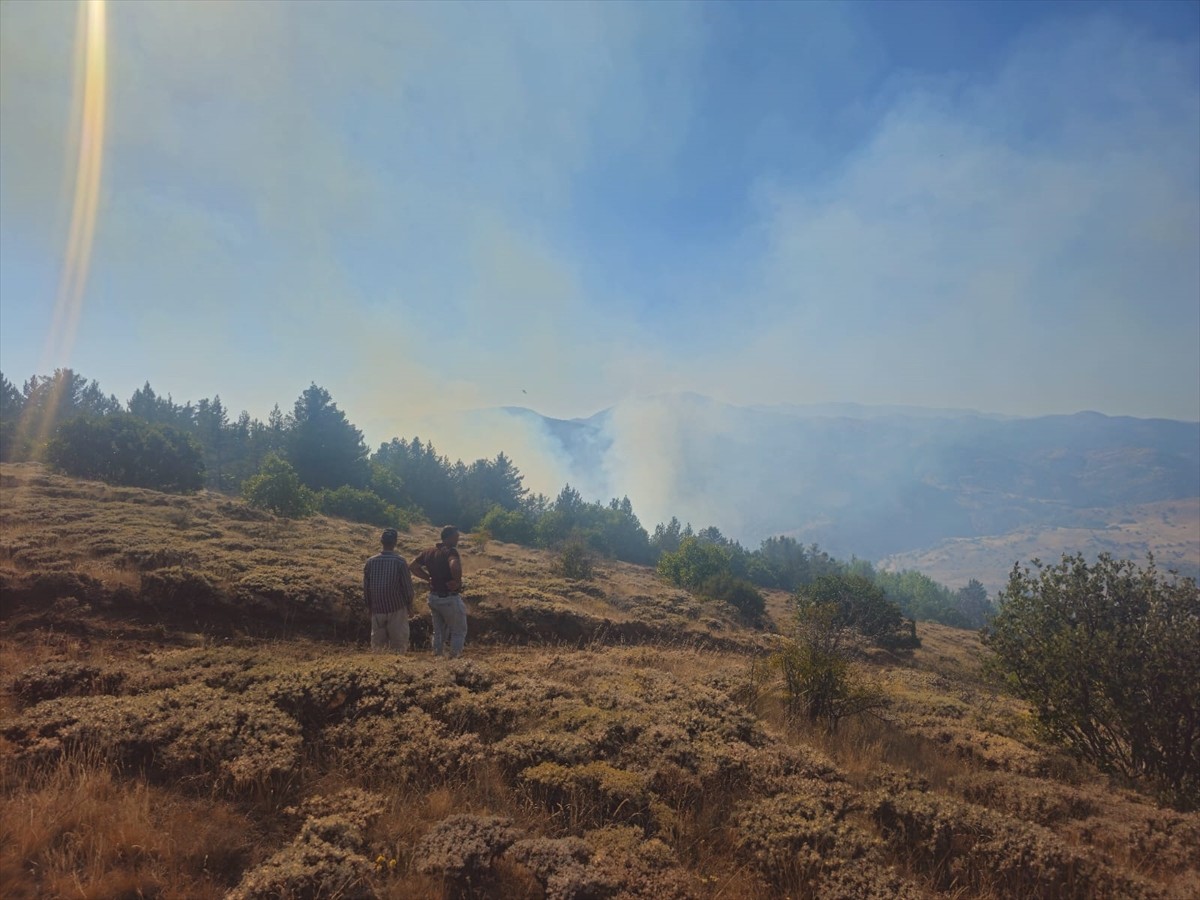 Gümüşhane'nin Kelkit ilçesinde çıkan orman yangınına müdahale ediliyor.
