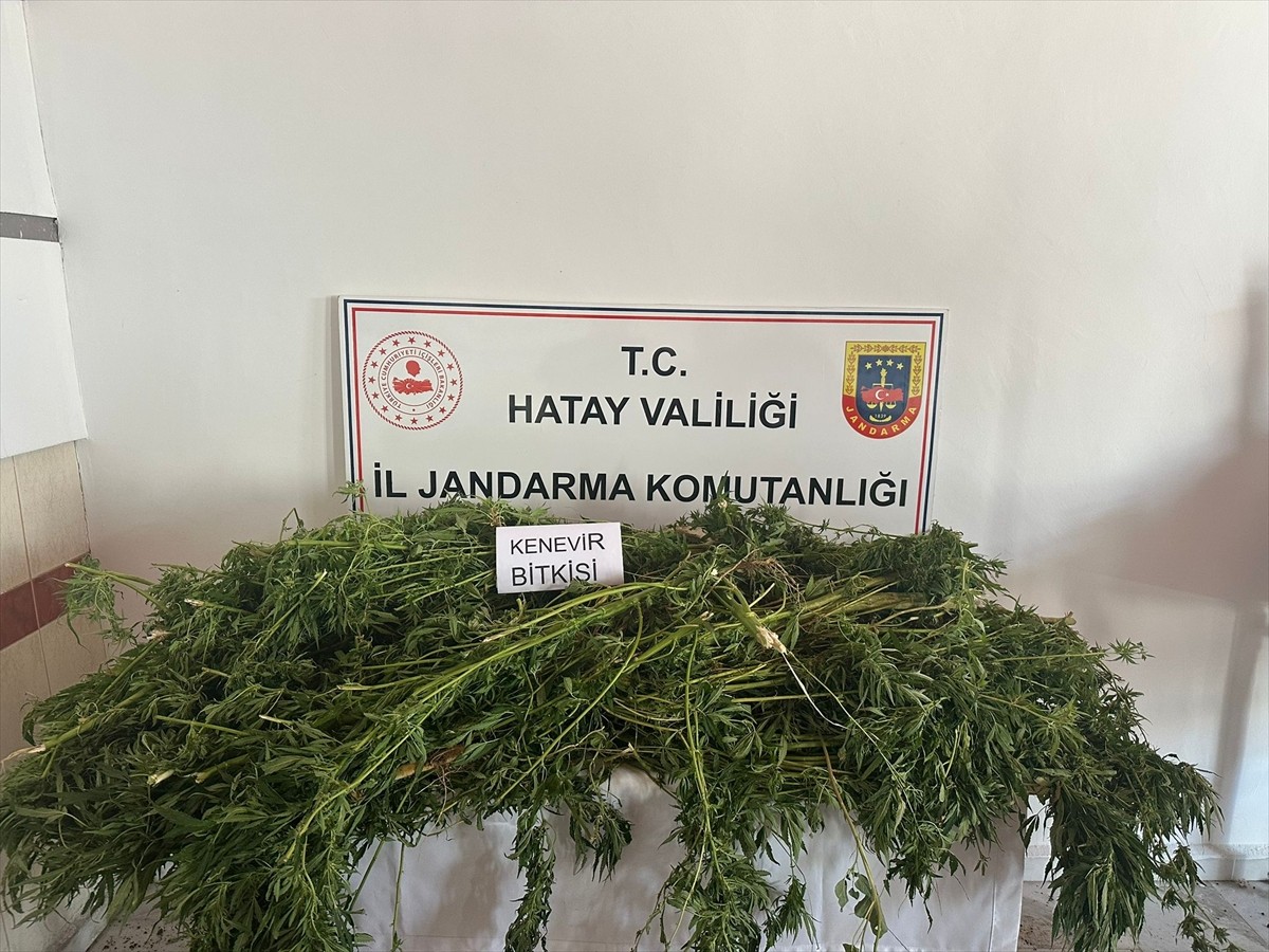 Hatay'ın Samandağ ilçesinde düzenlenen uyuşturucu operasyonunda 5 zanlı yakalandı. Operasyonda 2...