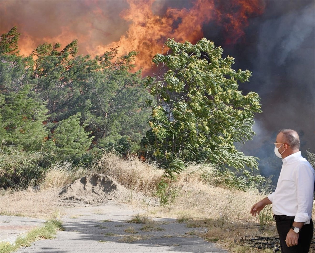 İçişleri Bakan Yardımcısı Bülent Turan, Çanakkale'nin Gelibolu ilçesindeki ormanlık alanda...