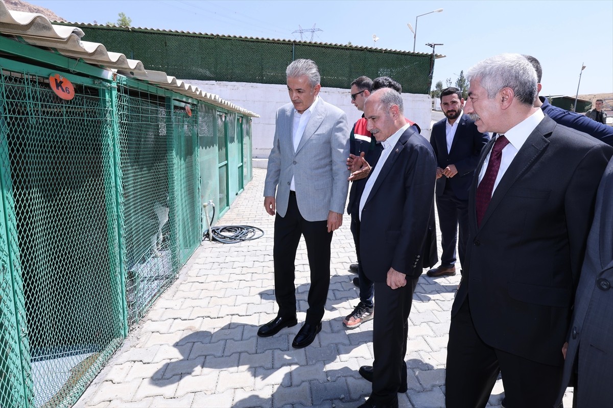 İçişleri Bakan Yardımcısı Mehmet Aktaş (ortada), Mardin Büyükşehir Belediyesi Hayvan Bakımevi ve...
