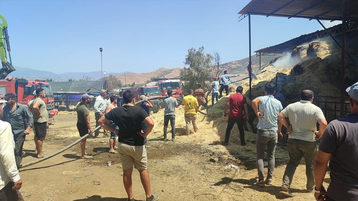 İzmir'in Ödemiş ilçesi Bademli Mahallesi'ne bağlı Çaltıarası Kümeevleri mevkisindeki otluk alanda...