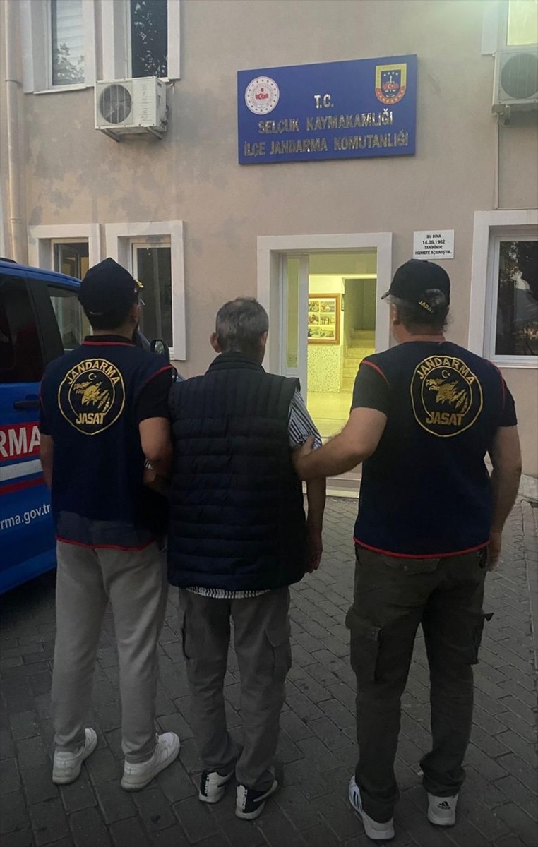 İzmir'in Selçuk ilçesinde sahipsiz hayvanların zehirli yiyeceklerle öldürülmesine ilişkin 1...