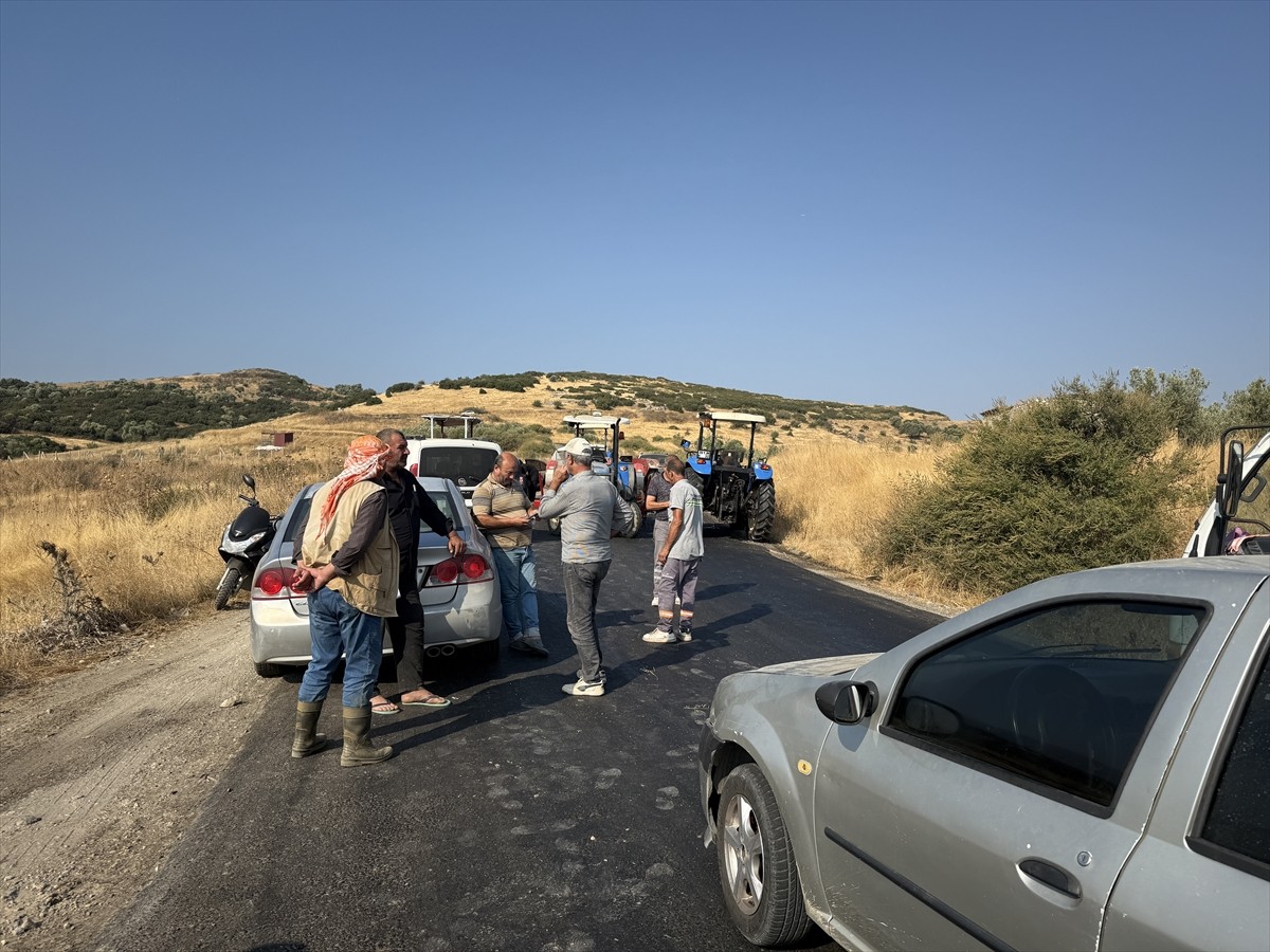 İzmir'in Tire ilçesi Karateke Mahallesi'nde, İzmir Büyükşehir Belediyesi tarafından mera alanına...