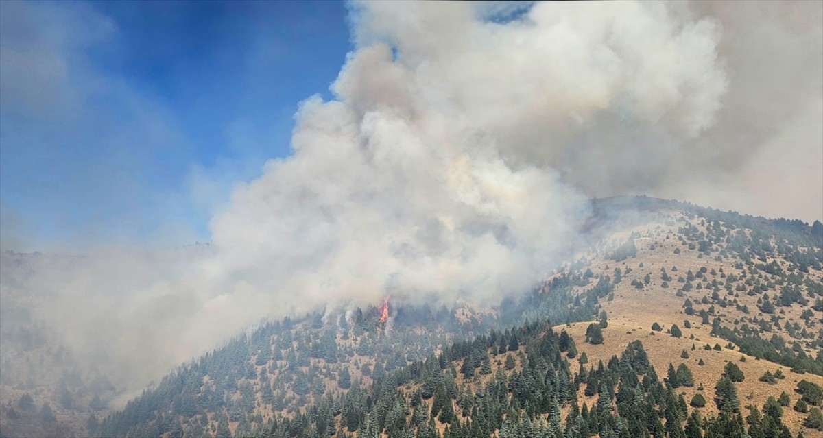 Kahramanmaraş'ın Göksun ilçesinde çıkan orman yangınına havadan ve karadan müdahale...