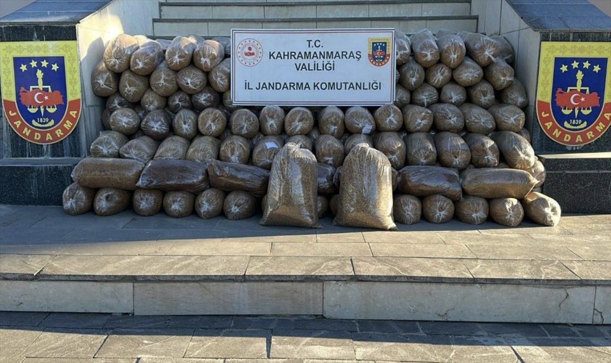 Kahramanmaraş'ta jandarma ekiplerinin düzenlediği operasyonda çeşitli suçlardan aranan 13 zanlı...