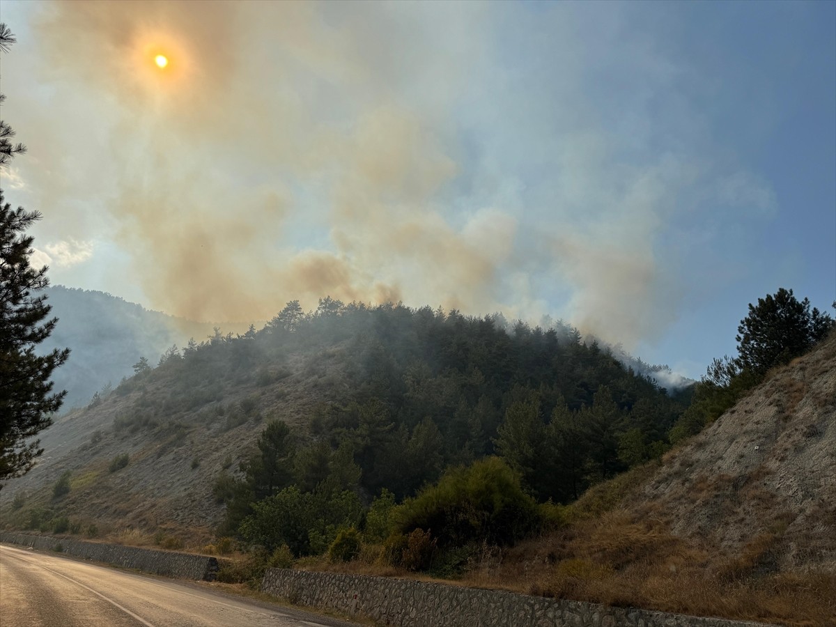 Karabük'te çıkan orman yangınını söndürmek için çalışma başlatıldı.