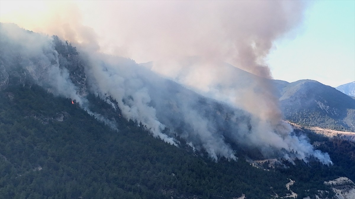 Karabük'te ormanlık alanda çıkan ve 5 Ağustos'ta kontrol altına alındıktan sonra yeniden başlayan...