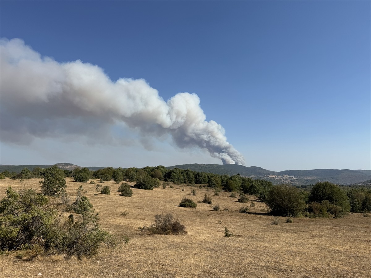 Karabük'te ormanlık alanda çıkan yangını söndürmek için çalışma başlatıldı.
