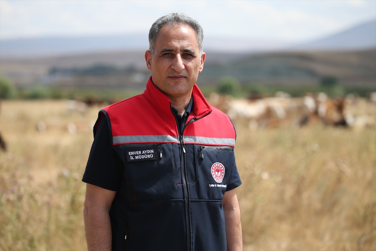 Kars Tarım ve Orman Müdürü Enver Aydın, SAT-1 tip şap hastalığının seyrine ilişkin açıklamalarda...