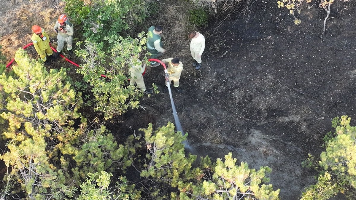 Kastamonu'nun Daday ilçesinde çıkan orman yangını söndürüldü.
