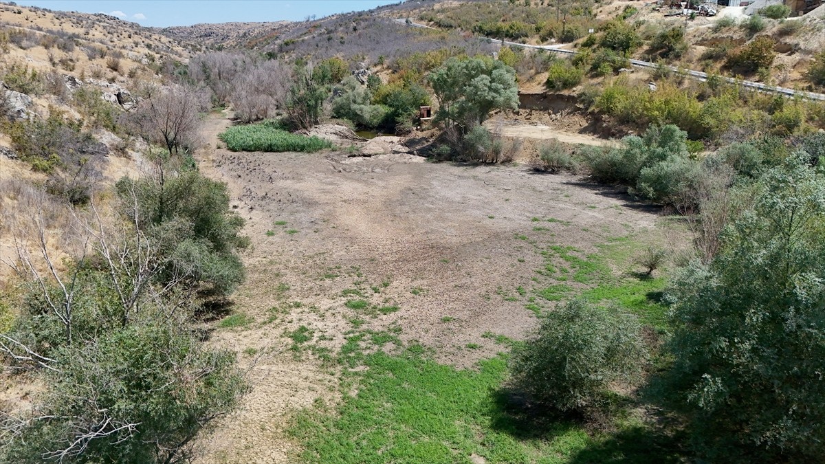 Kırklareli'nde, hava sıcaklıklarının mevsim normallerinin üzerinde seyretmesi nedeniyle Teke...