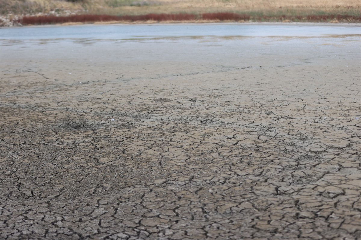 Kırklareli'nin Babaeski ilçesindeki Oruçlu Göleti, kuraklık nedeniyle kuruma noktasına geldi....