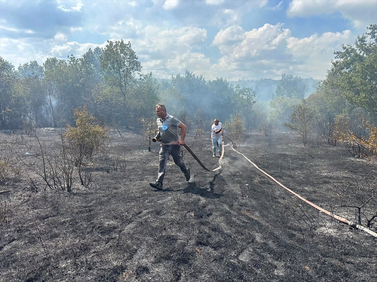 Kırklareli'nin Demirköy ilçesine bağlı İğneada beldesinde çıkan orman yangını ekiplerin...