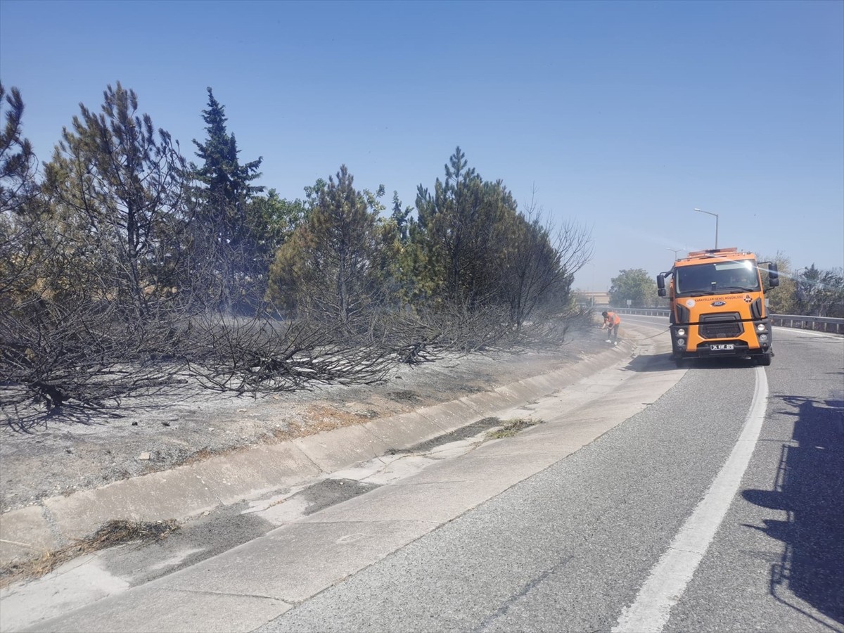 Kırklareli'nin Lüleburgaz ilçesinde anızda başlayıp, ağaçlık alana sıçrayan yangına müdahale...