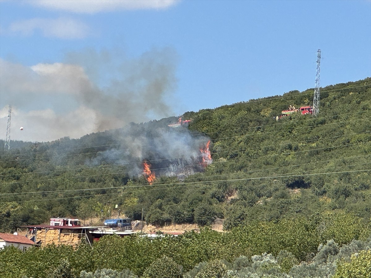 Kocaeli'nin Derince ilçesinde ağaçlık alanda çıkan yangın ekiplerin müdahalesiyle...