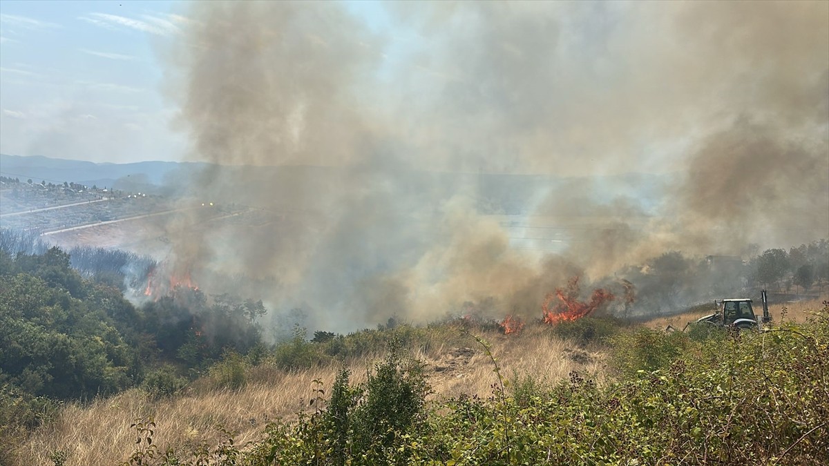 Kocaeli'nin Derince ilçesinde otluk alanda çıkan yangını söndürmek için havadan ve karadan çalışma...