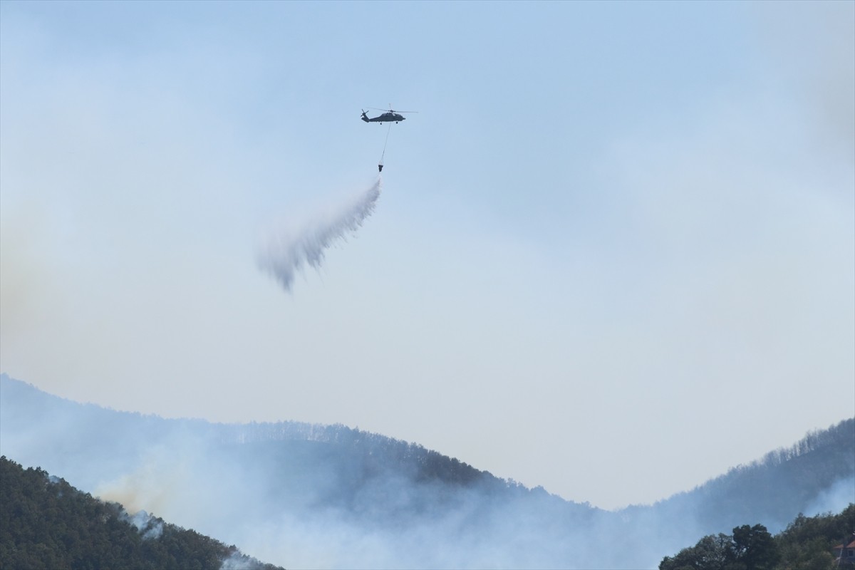 Kocaeli'nin Karamürsel ilçesinde çıkan orman yangınına havadan ve karadan müdahale ediliyor.