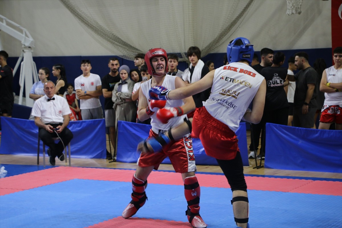 Kütahya'da, Zafer Kupası Kick Boks Turnuvası 20 ilden 800'e yakın sporcunun katılımıyla...