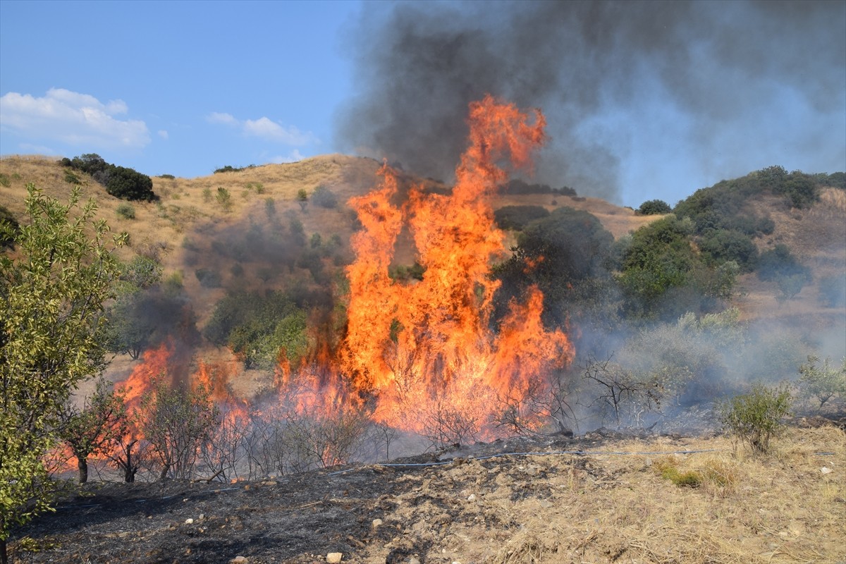 Manisa'nın Turgutlu ilçesinde tarım arazisinde başlayıp makilik alana sıçrayan yangın, ekiplerin...