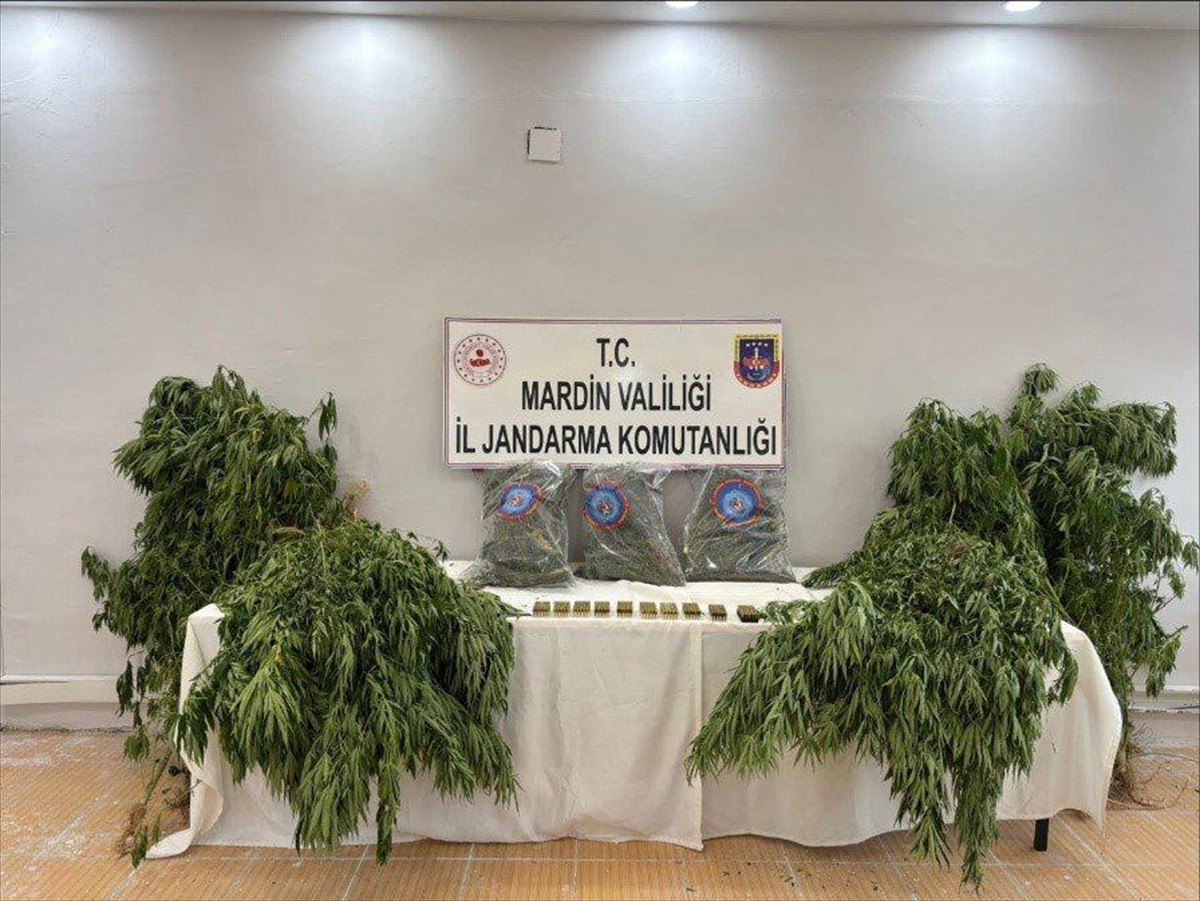 Mardin'in Derik ilçesinde düzenlenen uyuşturucu operasyonunda gözaltına alınan zanlı tutuklandı....