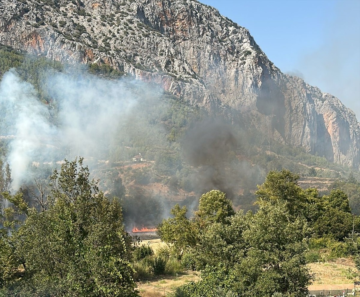  Mersin'in Anamur ilçesinde ormanlık alanda çıkan yangına havadan ve karadan müdahale...