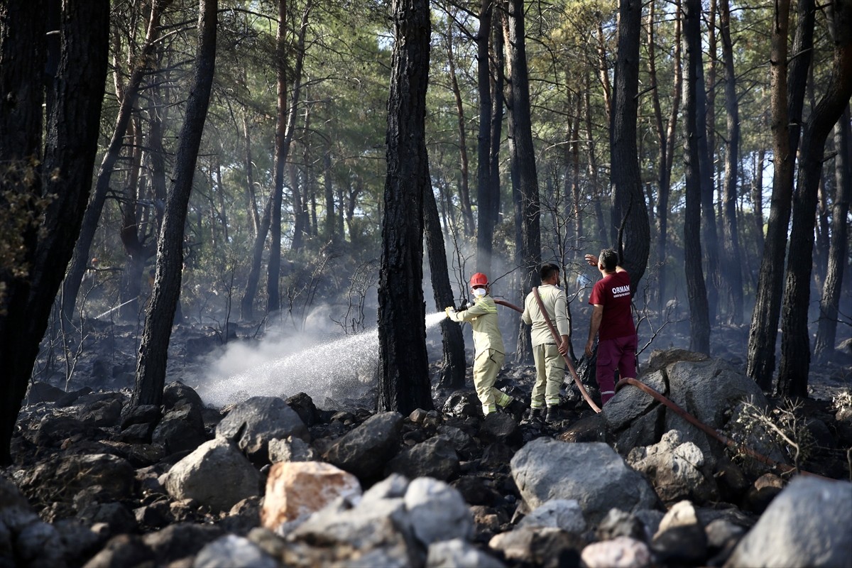 Muğla'nın Fethiye ilçesinde çıkan orman yangını havadan ve karadan müdahaleyle kontrol altına...