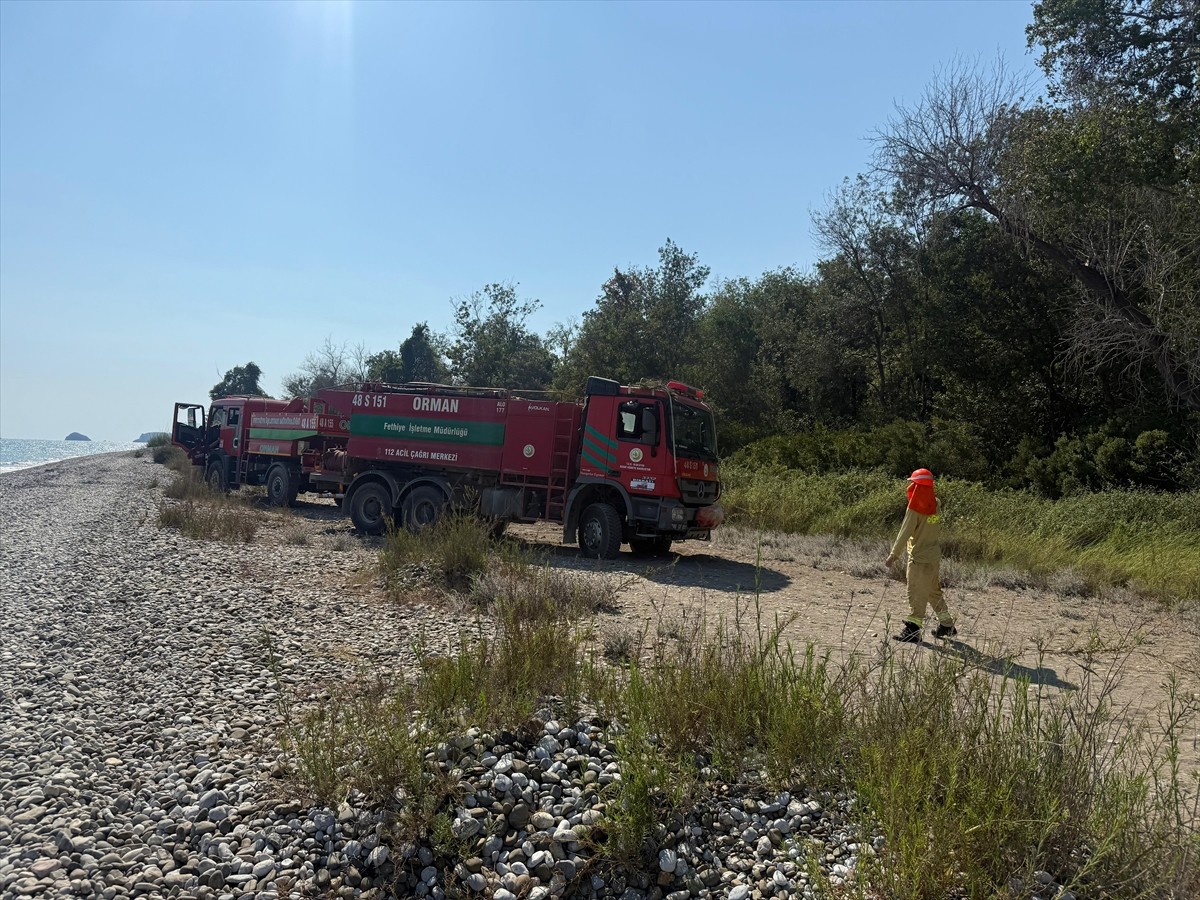 Muğla'nın Fethiye ilçesinde Karaot Plajı yakınındaki ormanlık alanda başlayan yangın, Orman Genel...