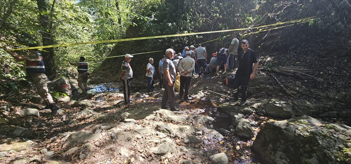 Ordu'nun İkizce ilçesinde fındık topladığı sırada yamaçtan düşen kişi hayatını...