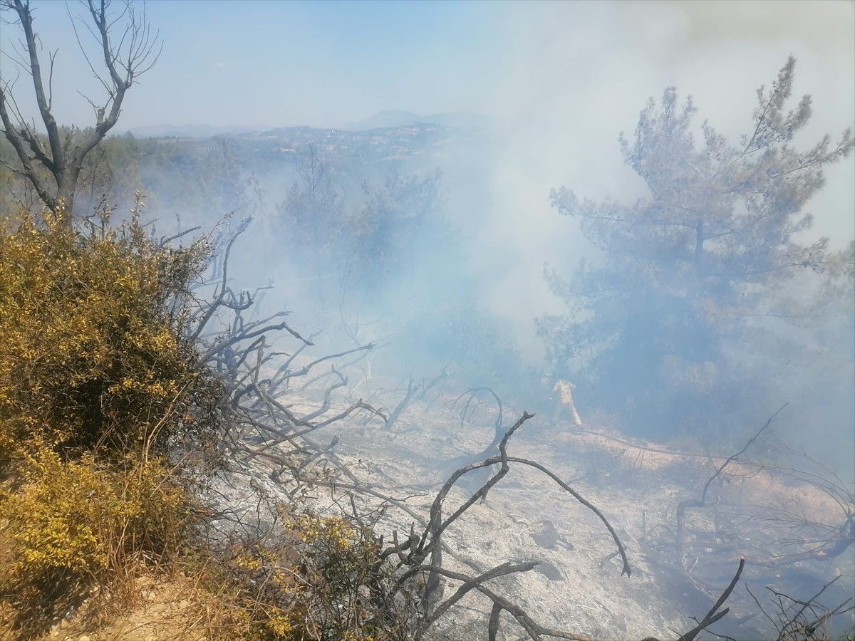 Osmaniye'nin Kadirli ilçesinde çıkan orman yangını, ekiplerin havadan ve karadan müdahalesiyle...