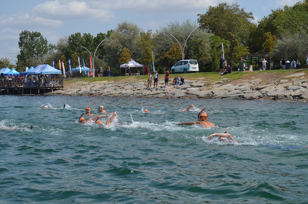 Paletli Yüzme Açık Su Bireysel Türkiye Şampiyonası ve Milli Takım Seçmesi, Kocaeli'de...