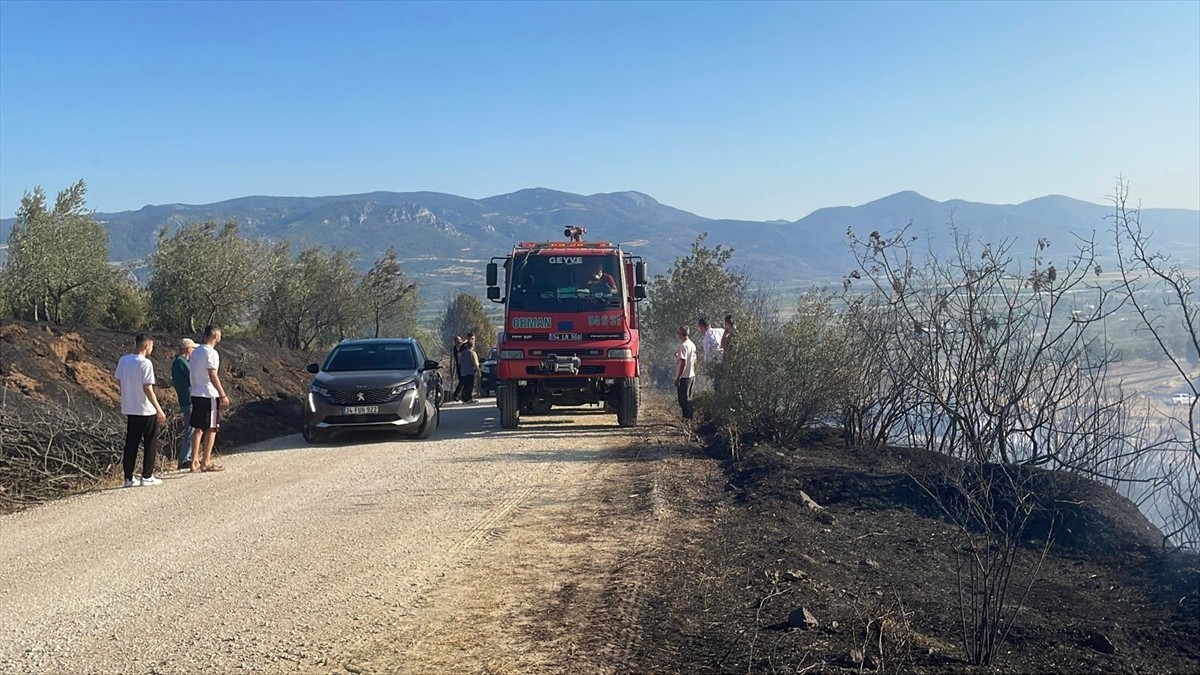 Sakarya'nın Pamukova ilçesinde makilik alanda çıkan yangın havadan ve karadan müdahaleyle kontrol...