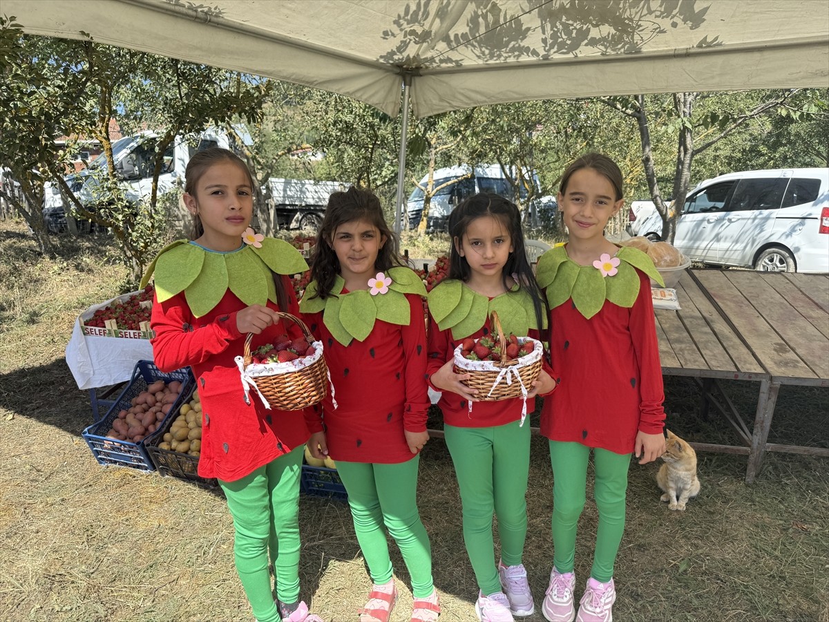 Samsun'un Alaçam ilçesinde "Çilek Yetiştiriciliği Geliştirme Projesi" kapsamında 3. Dürtmen...