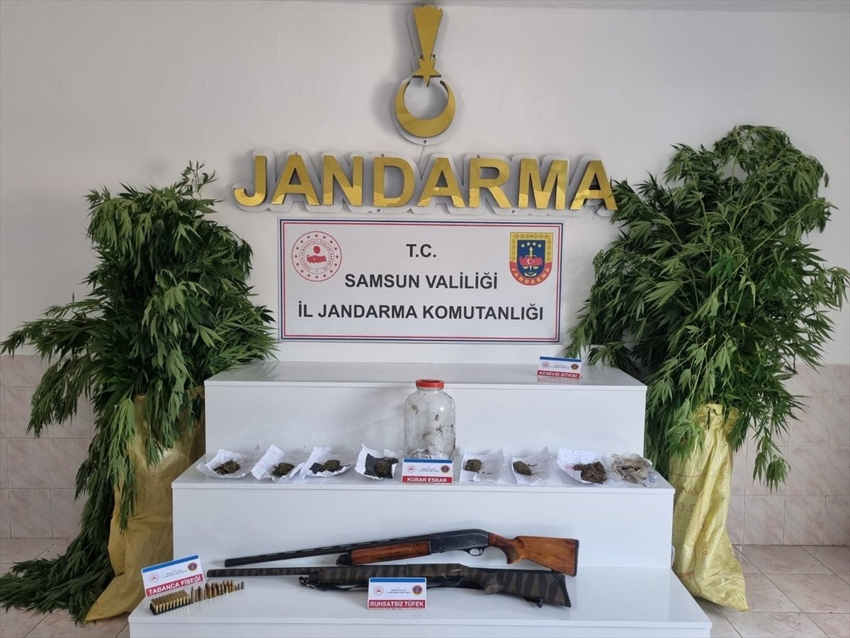 Samsun'un Bafra ilçesinde, jandarma tarafından yapılan operasyonda gözaltına alınan 1 kişi...