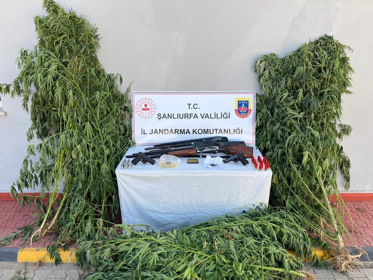 Şanlıurfa'da düzenlenen uyuşturucu ve silah kaçakçılığı operasyonunda 6 şüpheli gözaltına alındı....