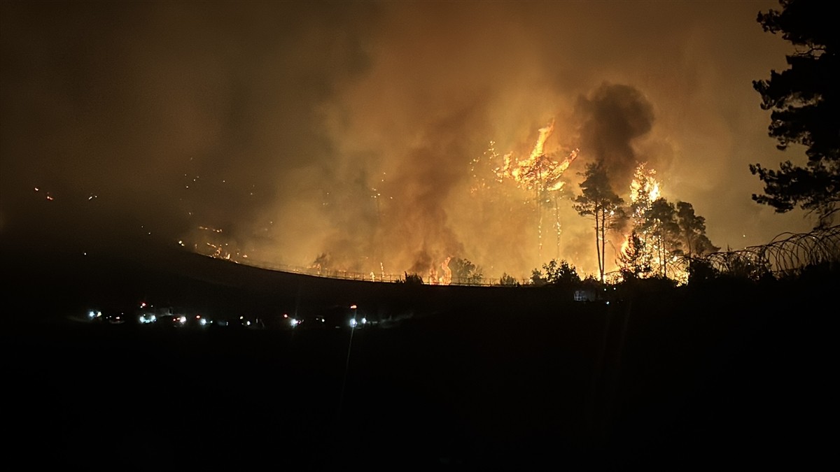 Suriye'nin Lazkiye, Tartus ve Hama illerinde başlayan orman yangınları yayılmaya devam ediyor....
