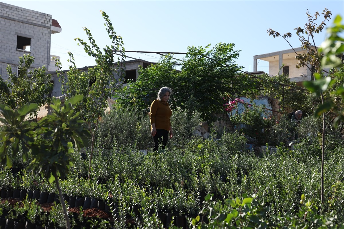 Suriye’nin kuzeyindeki Afrin'de, terör örgütü PKK/ YPG'nin 7 yılı aşkın süredir evlerine...