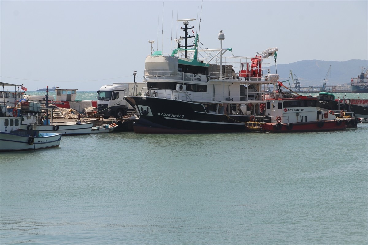Tekirdağ'da balıkçılar, olumsuz hava ve deniz şartları nedeniyle palamut avına çıkamadı. Bu yıl...