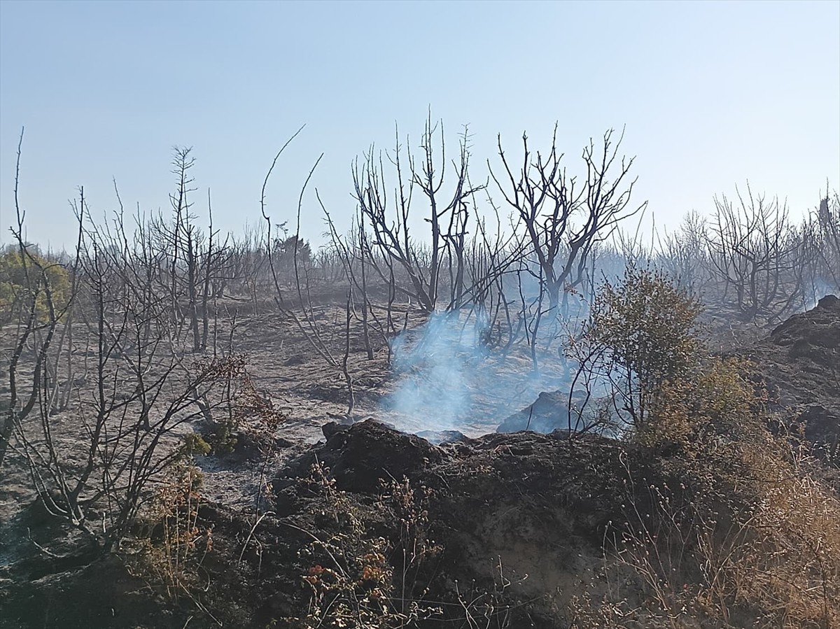 Tekirdağ'ın Malkara ilçesinde piknik bölgesinden makilik alana sıçrayan yangın...
