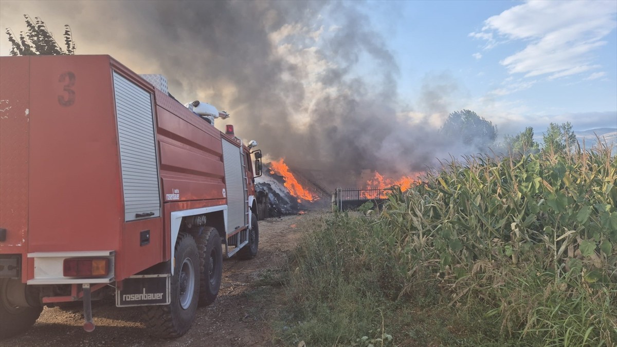 Tokat'ta kumaş deposunda çıkan yangına itfaiye ekipleri müdahale ediliyor.