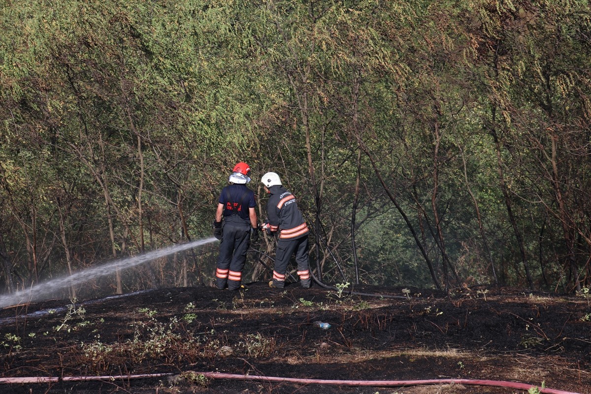 Trabzon'un Ortahisar ilçesinde çıkan örtü yangını söndürüldü.