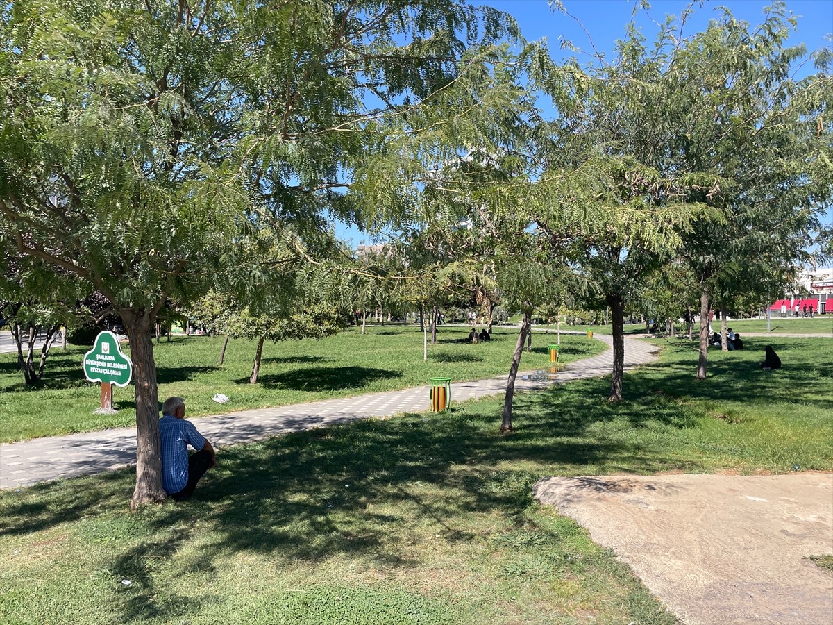 Türkiye'de sıcaklığın en yüksek ölçüldüğü kentlerden biri olan Şanlıurfa'da termometreler 55...