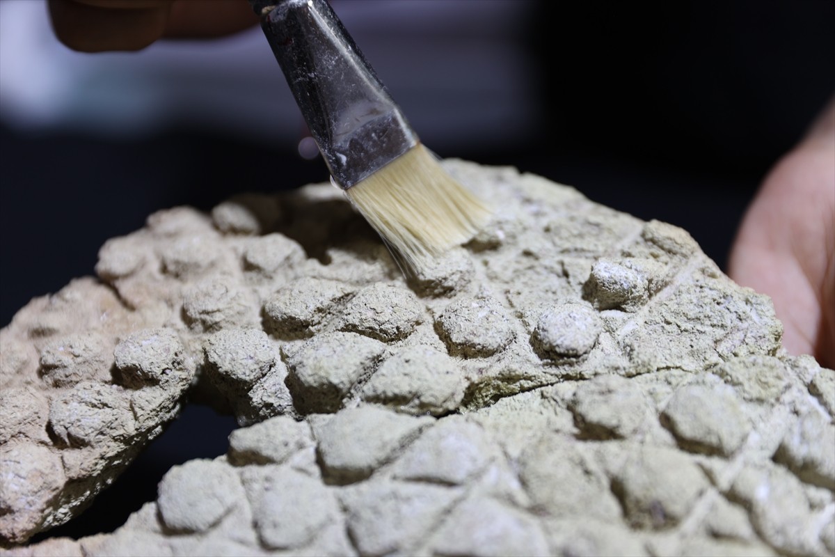 UNESCO Dünya Mirası Geçici Listesi'nde bulunan dünyanın en eski yerleşim bölgelerinden Harran Ören...