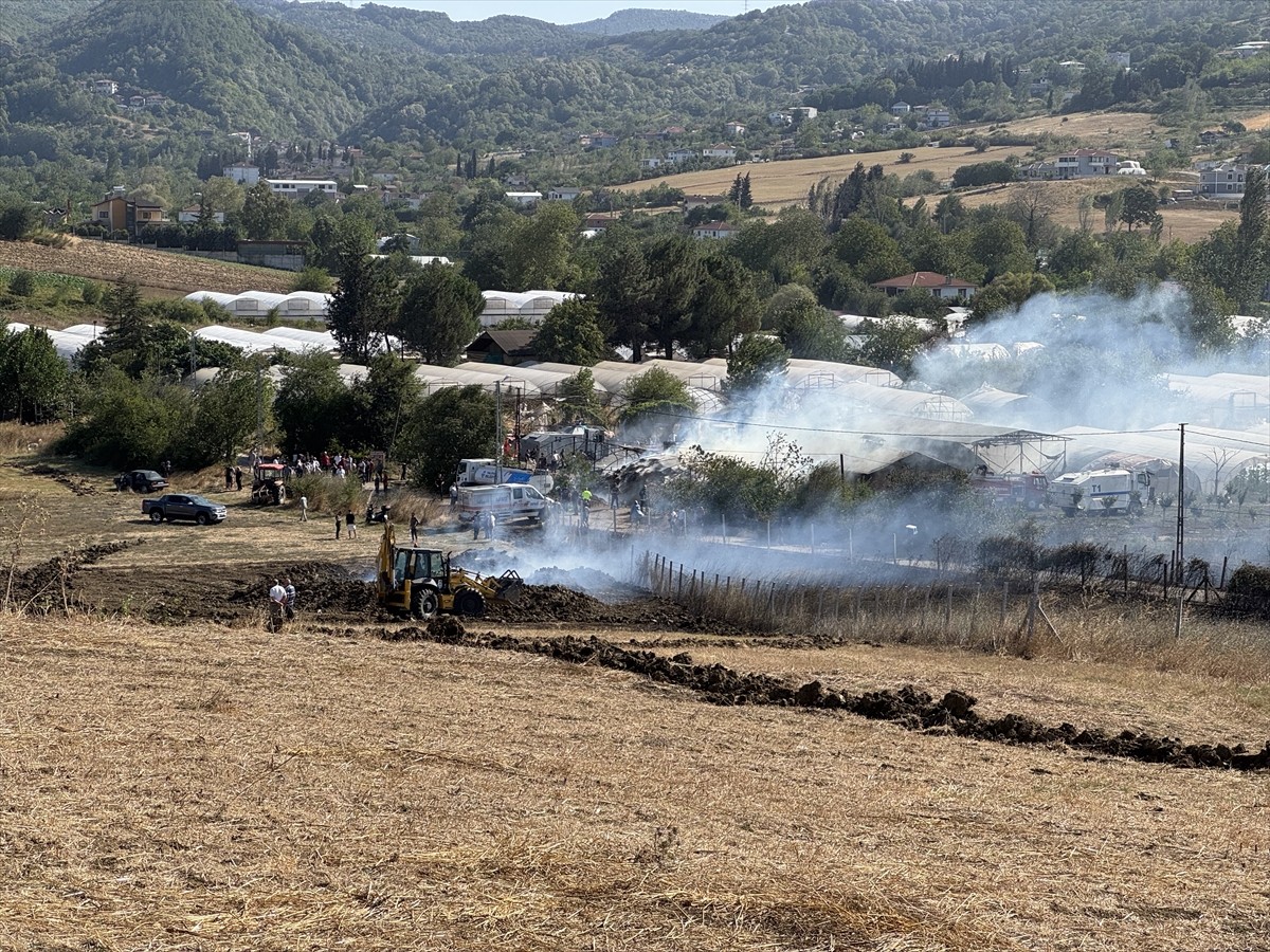 Yalova merkeze bağlı Kazımiye köyünde belirlenemeyen nedenle başlayan arazi yangını, kısa sürede...