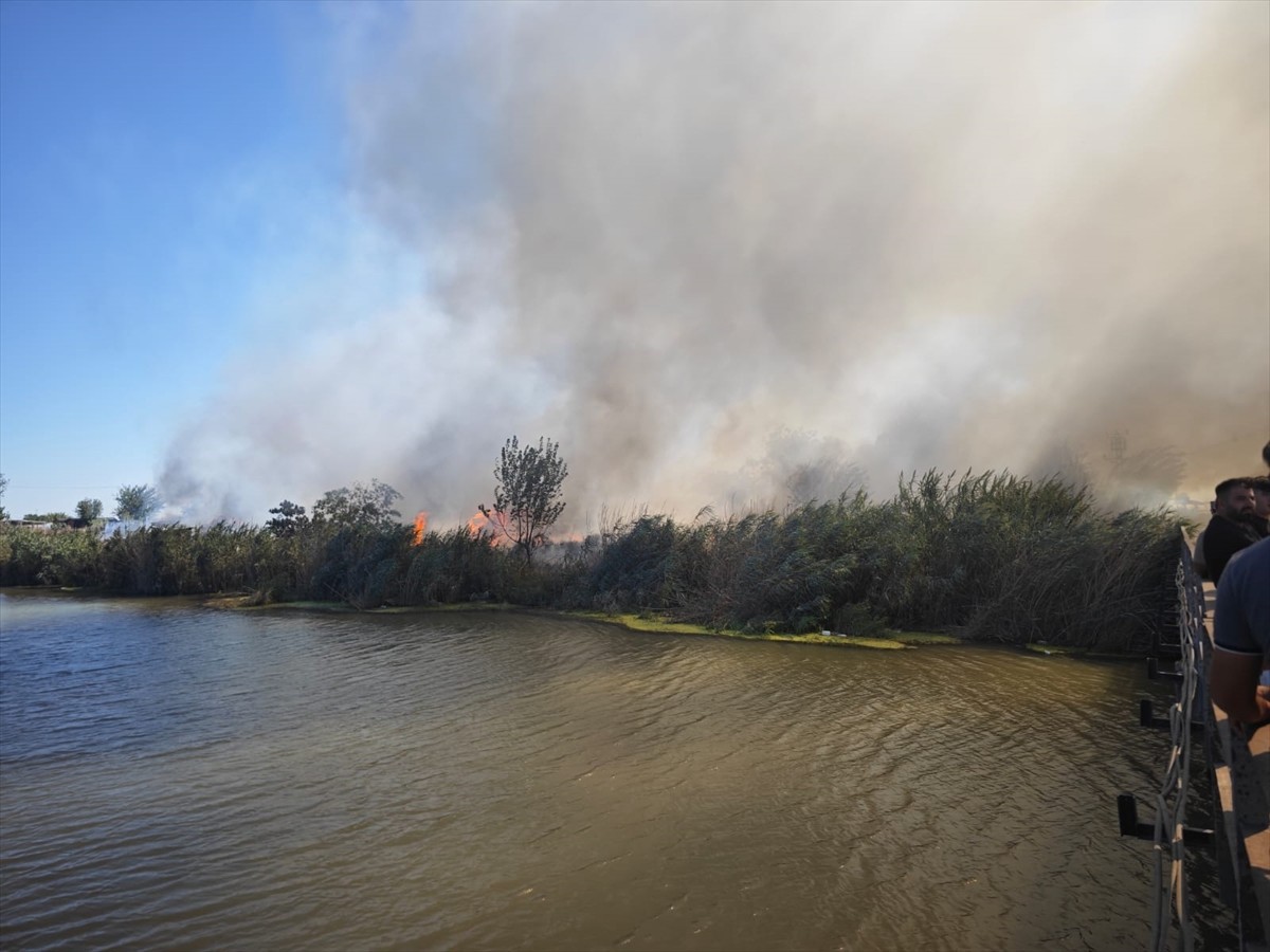  Adana'nın Karataş ilçesinde tarım işçilerinin yaşadığı bir çadırda çıkan ve 3 çadıra daha...