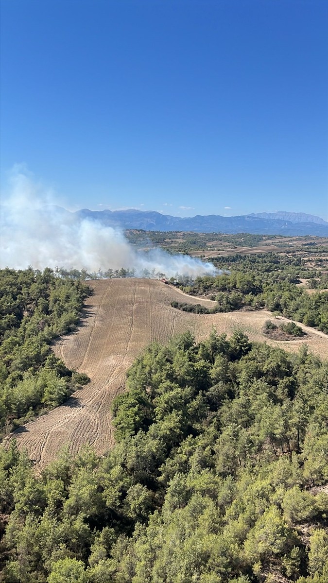 Adana'nın Sarıçam ilçesinde çıkan orman yangınına havadan ve karadan müdahale ediliyor. İhbar...