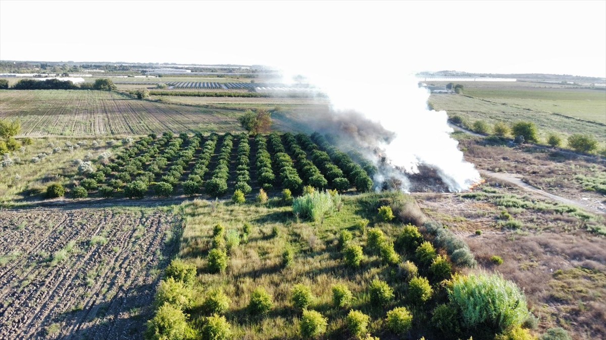 Antalya'nın Aksu ilçesinde otluk ve sazlık alanda çıkan yangınlar söndürüldü.