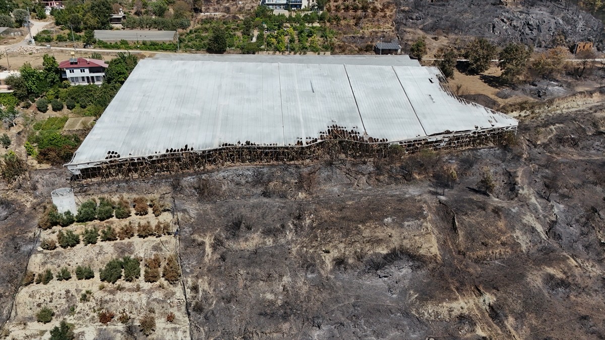 Antalya'nın Alanya ilçesinde orman yangınından zarar gören alanlar havadan görüntülendi.